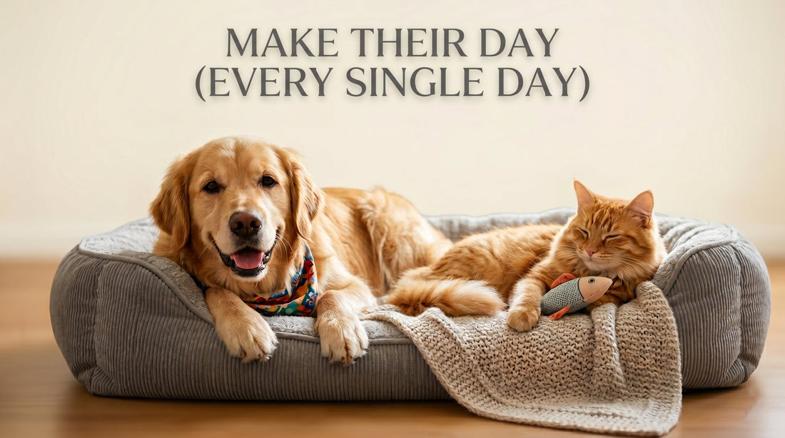5 Simple Ways to Make Your Pet’s Day (Every Single Day)