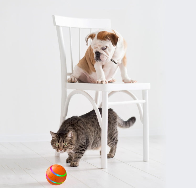 Automatic Rolling Cat Ball Smart Interactive Toy